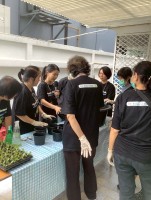 ปลูกผักเพียงพอดี ครั้งที่ 4