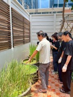 ปลูกผักเพียงพอดี ครั้งที่ 5
