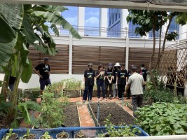 ปลูกผักเพียงพอดี ครั้งที่ 5