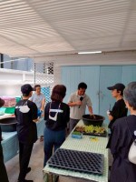 ปลูกผักเพียงพอดี ครั้งที่ 5