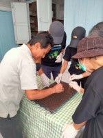 ปลูกผักเพียงพอดี ครั้งที่ 5