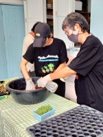 ปลูกผักเพียงพอดี ครั้งที่ 5