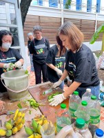 ปลูกผักเพียงพอดี ครั้งที่ 6