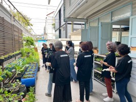 ปลูกผักเพียงพอดี ครั้งที่ 6