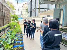 ปลูกผักเพียงพอดี ครั้งที่ 6