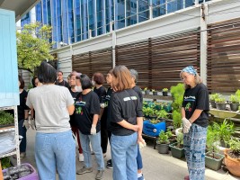 ปลูกผักเพียงพอดี ครั้งที่ 6