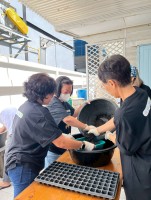 ปลูกผักเพียงพอดี ครั้งที่ 6