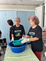 ปลูกผักเพียงพอดี ครั้งที่ 6