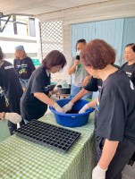 ปลูกผักเพียงพอดี ครั้งที่ 6