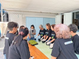 ปลูกผักเพียงพอดี ครั้งที่ 6