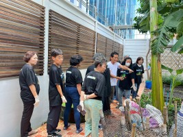 ปลูกผักเพียงพอดี ครั้งที่ 6