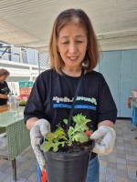 ปลูกผักเพียงพอดี ครั้งที่ 6