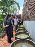 ปลูกผักเพียงพอดี ครั้งที่ 6